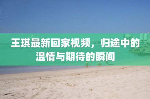 王琪最新回家視頻,歸途中的溫情與期待的瞬間