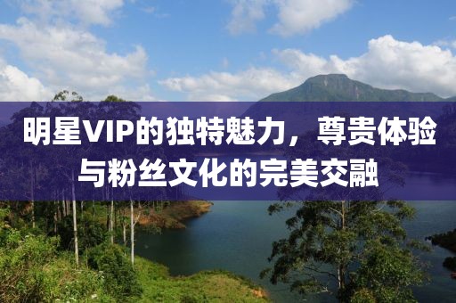 明星VIP的獨特魅力，尊貴體驗與粉絲文化的完美交融