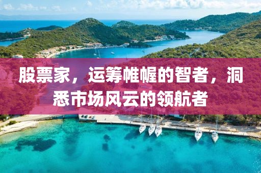 股票家，運(yùn)籌帷幄的智者，洞悉市場風(fēng)云的領(lǐng)航者