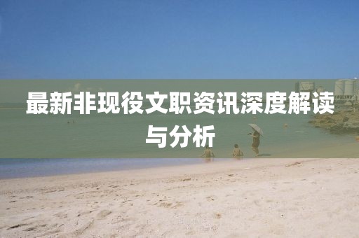 最新非現(xiàn)役文職資訊深度解讀與分析