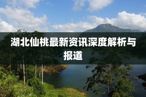 湖北仙桃最新資訊深度解析與報道