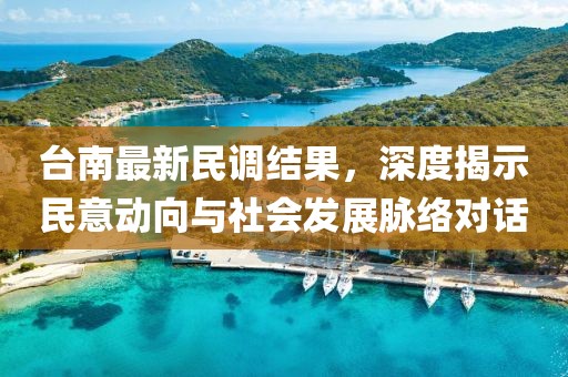 臺(tái)南最新民調(diào)結(jié)果，深度揭示民意動(dòng)向與社會(huì)發(fā)展脈絡(luò)對話
