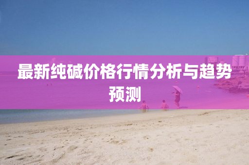 最新純堿價(jià)格行情分析與趨勢預(yù)測