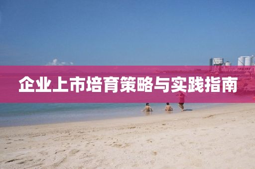企業(yè)上市培育策略與實(shí)踐指南