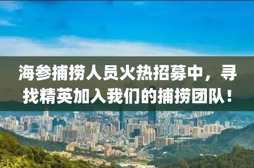 海參捕撈人員火熱招募中，尋找精英加入我們的捕撈團隊！