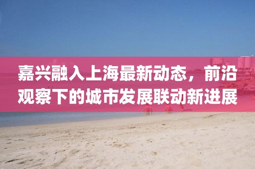 嘉興融入上海最新動(dòng)態(tài)，前沿觀察下的城市發(fā)展聯(lián)動(dòng)新進(jìn)展