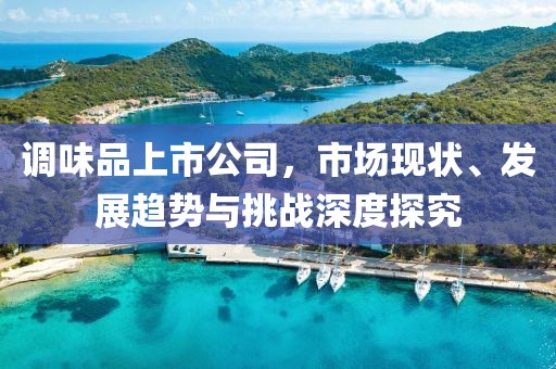 調(diào)味品上市公司，市場(chǎng)現(xiàn)狀、發(fā)展趨勢(shì)與挑戰(zhàn)深度探究