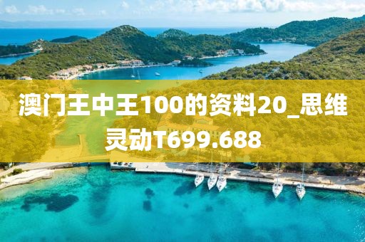 澳門王中王100的資料20_思維靈動(dòng)T699.688
