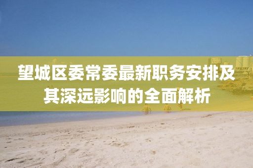 望城區(qū)委常委最新職務(wù)安排及其深遠(yuǎn)影響的全面解析