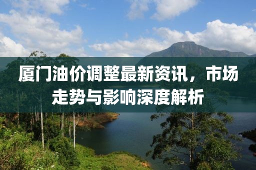 廈門油價調整最新資訊，市場走勢與影響深度解析