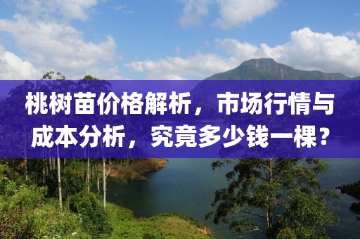 桃樹苗價(jià)格解析,市場(chǎng)行情與成本分析,究竟多少錢一棵?