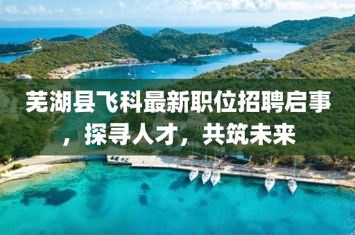 蕪湖縣飛科最新職位招聘啟事,探尋人才,共筑未來