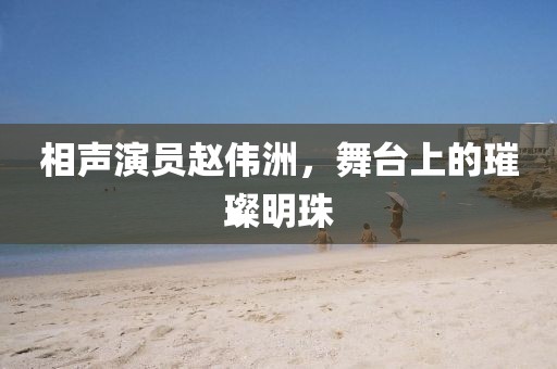 相聲演員趙偉洲，舞臺上的璀璨明珠