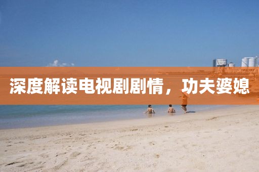 深度解讀電視劇劇情，功夫婆媳