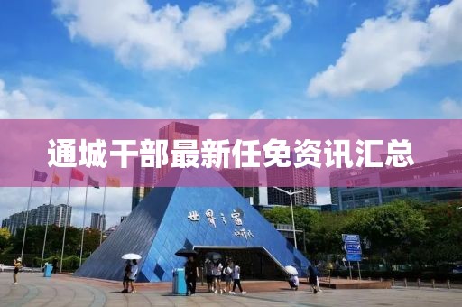 通城干部最新任免資訊匯總