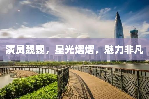 演員魏巍，星光熠熠，魅力非凡