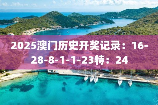 2025澳門歷史開獎記錄：16-28-8-1-1-23特：24