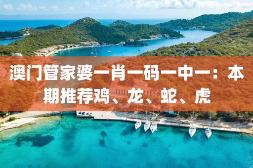 澳門(mén)管家婆一肖一碼一中一:本期推薦雞、龍、蛇、虎