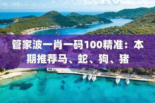 管家波一肖一碼100精準(zhǔn)：本期推薦馬、蛇、狗、豬