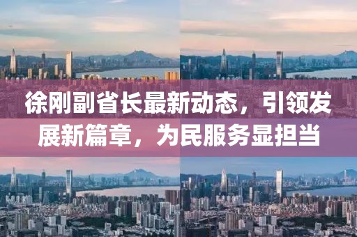 徐剛副省長最新動態(tài)，引領發(fā)展新篇章，為民服務顯擔當