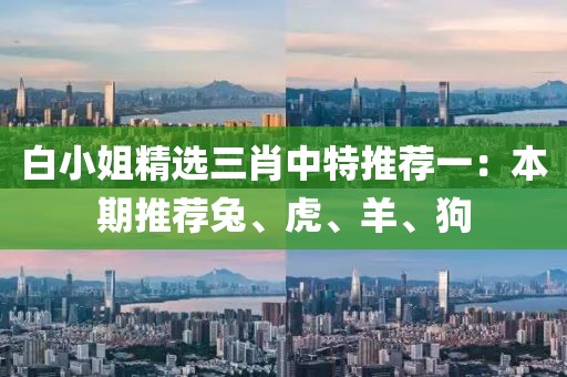 白小姐精選三肖中特推薦一：本期推薦兔、虎、羊、狗