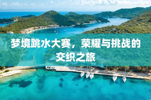 夢境跳水大賽，榮耀與挑戰(zhàn)的交織之旅