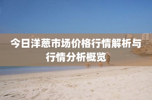 今日洋蔥市場價(jià)格行情解析與行情分析概覽