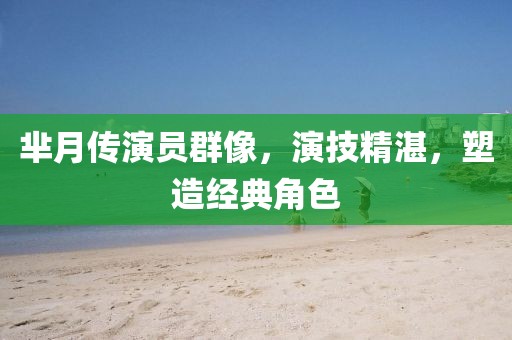 羋月傳演員群像，演技精湛，塑造經(jīng)典角色