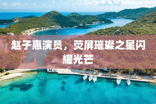 趙子惠演員，熒屏璀璨之星閃耀光芒