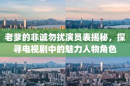 老爹的非誠勿擾演員表揭秘,探尋電視劇中的魅力人物角色