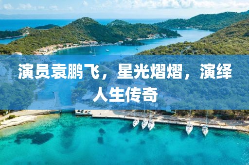 演員袁鵬飛，星光熠熠，演繹人生傳奇