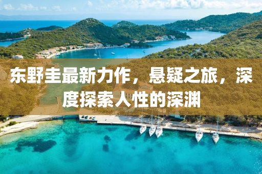 東野圭最新力作，懸疑之旅，深度探索人性的深淵