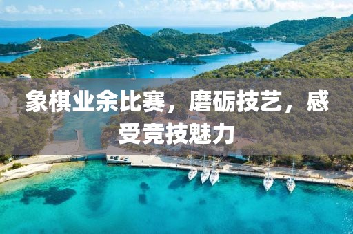 象棋業(yè)余比賽，磨礪技藝，感受競(jìng)技魅力