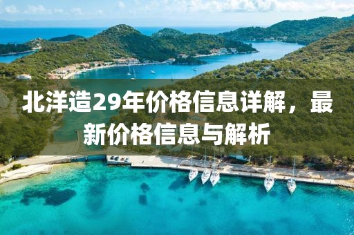 北洋造29年價(jià)格信息詳解，最新價(jià)格信息與解析