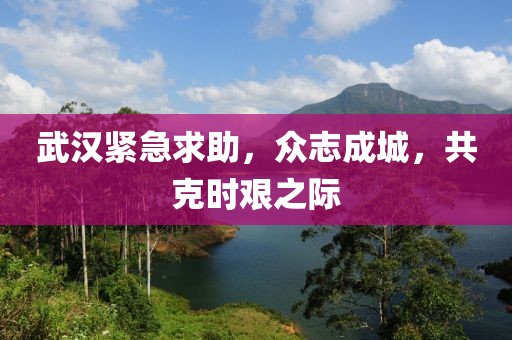 武漢緊急求助，眾志成城，共克時艱之際