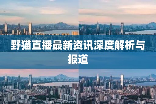 野貓直播最新資訊深度解析與報道