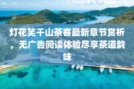 燈花笑千山茶客最新章節(jié)賞析，無(wú)廣告閱讀體驗(yàn)盡享茶道韻味