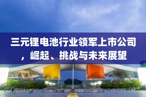 陽光不暖人心 第44頁