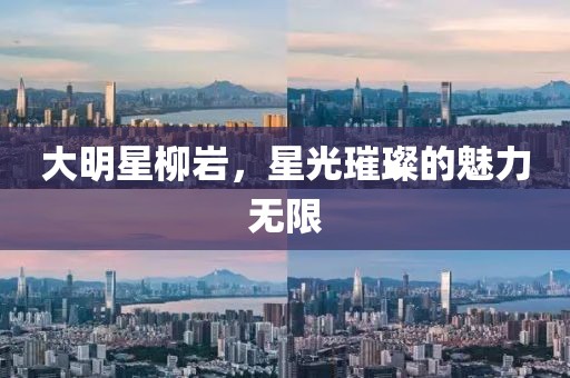 大明星柳巖，星光璀璨的魅力無(wú)限