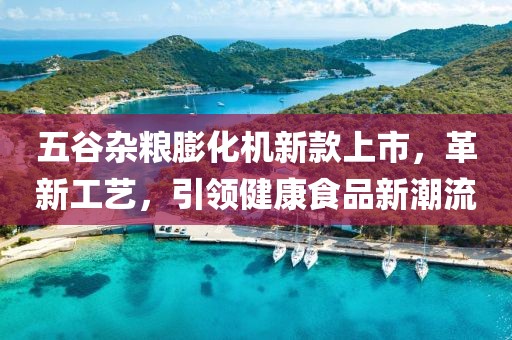 五谷雜糧膨化機新款上市，革新工藝，引領健康食品新潮流