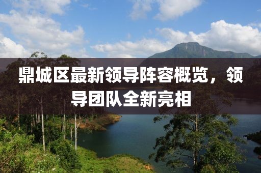 鼎城區(qū)最新領(lǐng)導陣容概覽，領(lǐng)導團隊全新亮相