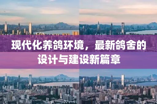 現(xiàn)代化養(yǎng)鴿環(huán)境，最新鴿舍的設(shè)計(jì)與建設(shè)新篇章