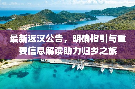 最新返漢公告，明確指引與重要信息解讀助力歸鄉(xiāng)之旅