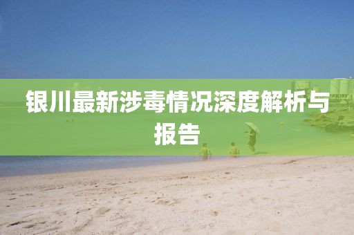 銀川最新涉毒情況深度解析與報(bào)告
