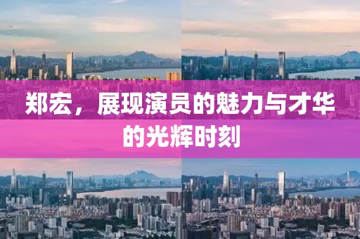 鄭宏，展現(xiàn)演員的魅力與才華的光輝時刻