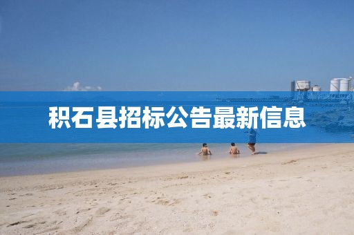 積石縣招標(biāo)公告最新信息