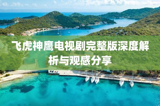 飛虎神鷹電視劇完整版深度解析與觀感分享