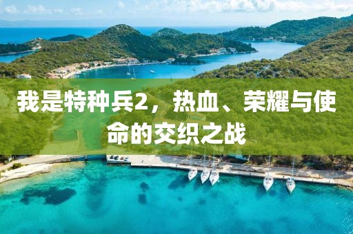 我是特種兵2，熱血、榮耀與使命的交織之戰(zhàn)