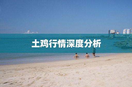 土雞行情深度分析