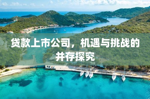 貸款上市公司，機遇與挑戰(zhàn)的并存探究